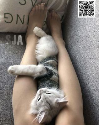 假戏真做红肿侵犯h