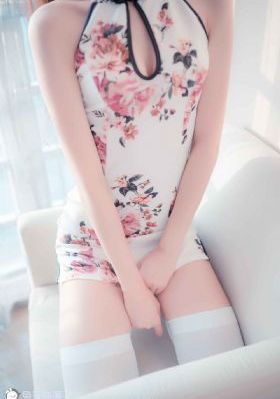 一条狗的使命2