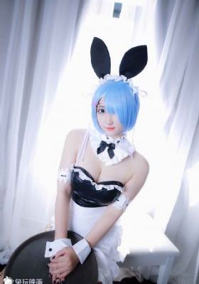 星刻的龙骑士免费观看