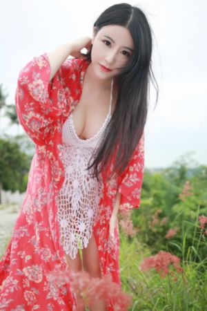 宰相刘罗锅电视剧全集免费观看