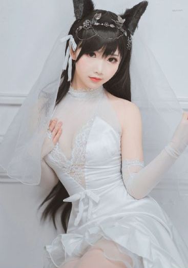 灿烂的花园综艺免费观看高清