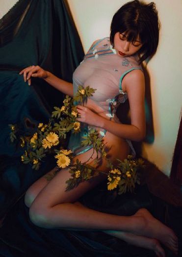 电视剧一树桃花开免费观看