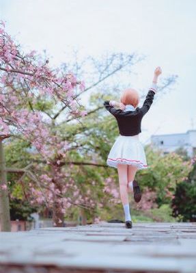 熊出没·狂野大陆 动画片