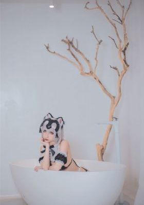 幻乐森林电视剧免费观看全集